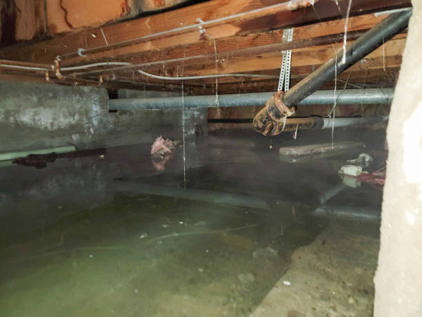 Best Commercial water damage restoration  in Moodus, CT