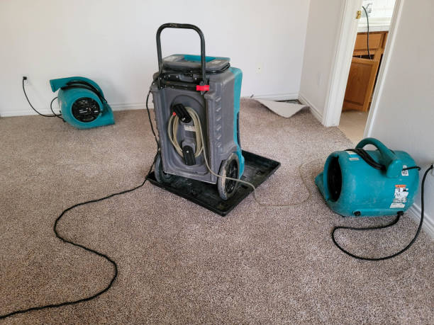 Best Water damage restoration near me  in Moodus, CT