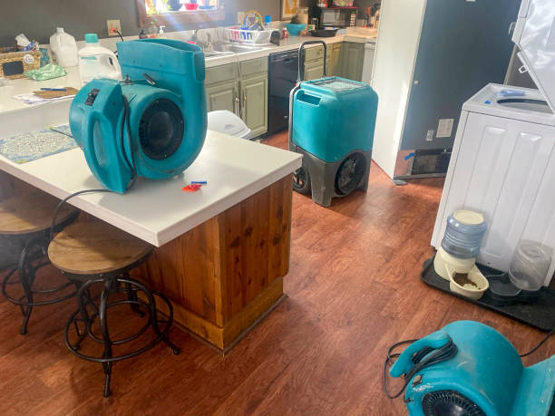 Best Ceiling water damage repair  in Moodus, CT