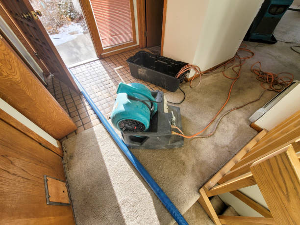 Best Water damage restoration near me  in Moodus, CT