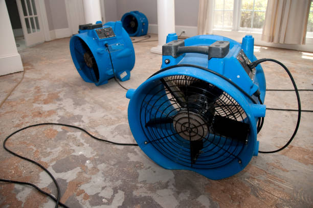 Best Basement water damage restoration  in Moodus, CT