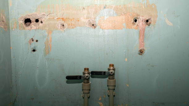 Best Carpet water damage restoration  in Moodus, CT